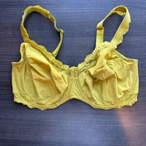 Gorgeous Simone Perele Candide Full Cup Underwire Bra - Matcha Green - 38F